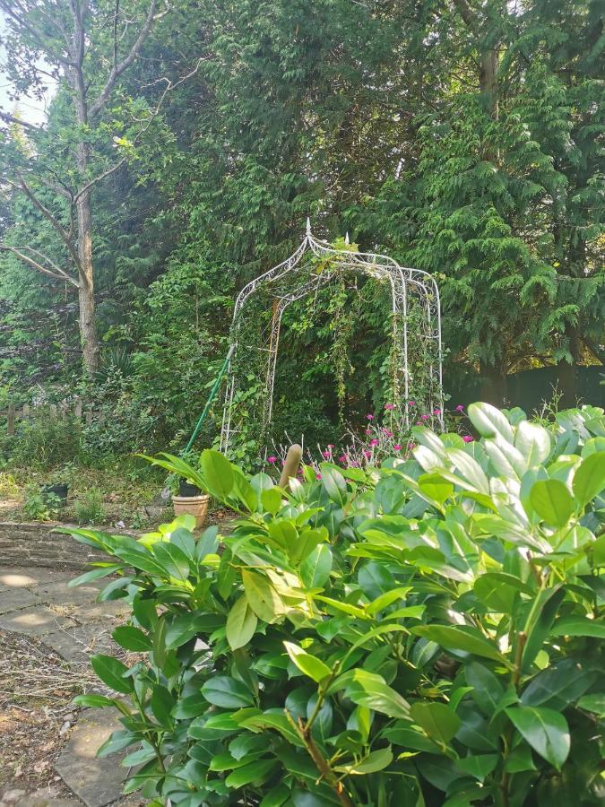 شقة Peaceful Retreat Hideaway Surrey إيشر المظهر الخارجي الصورة